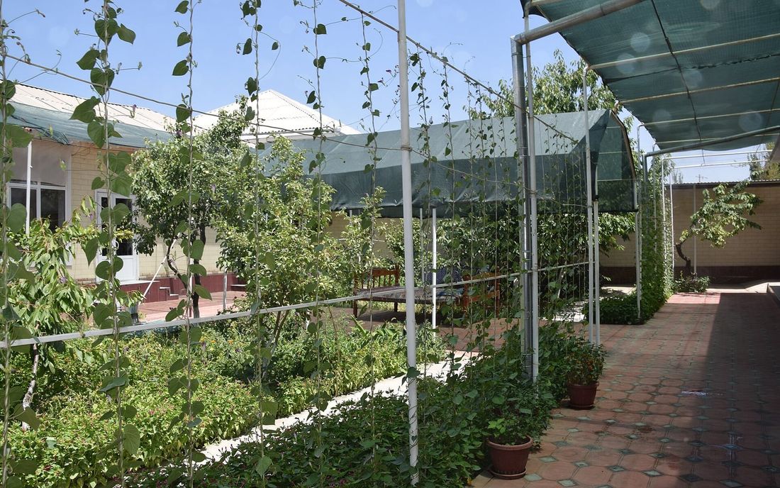 Tela de sombreamento verde esticada sobre estrutura metálica, cobrindo um caminho e canteiros com plantas